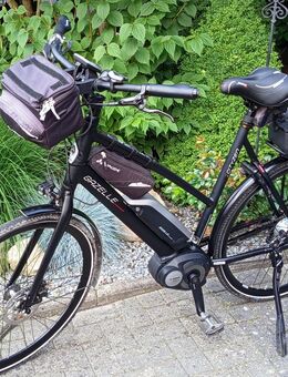 Gazelle C8 Cityzen Tourenrad - Jever