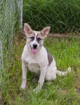 TOMMI - ohne Ängste lustig sein - Overath