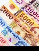 Welche hübsche schlanke junge Frau gerne mit Kind möchte mit mir nach Ungarn auswandern?? in 34212