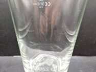 Trink Glas Wasserglas Schloss Quelle 12cm hoch 8cm breit mit Eichstrich 0,2l - Essen