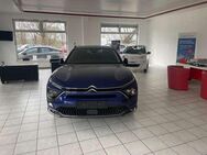 Citroen C5 Shine Pack Hybrid - Milower Land