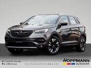 Opel Grandland X, Hybrid Business, Jahr 2021 - Siegen (Universitätsstadt)