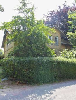 Verwunschenes Landhaus im malerischen Schwabstedt - Schwabstedt