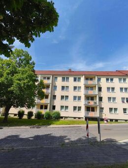 Frisch renovierte Wohnung mieten und 2 Monate kaltmietfrei sichern! - Sangerhausen