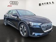 Audi e-tron, 50 quattro basis Plus, Jahr 2021 - Binzen