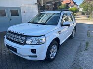 Land Rover Freelander SD4 SE - Bad Krozingen