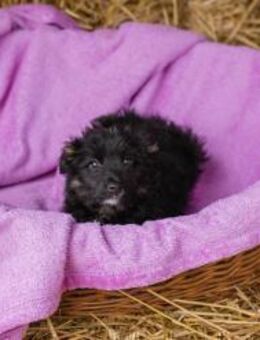 275912 - ja genau so möchte ich es haben - Overath