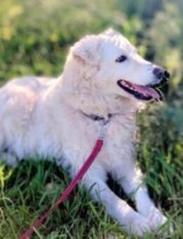 BIANCA - die Seelenvolle - Oberhausen (Rheinland-Pfalz)