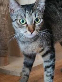 Frida möchte dein Leben bereichern! - München