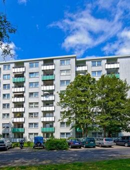 2-Zimmer-Wohnung in Solingen Wald - Solingen (Klingenstadt)