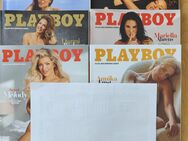 7x Playboy 2025 - Walldürn