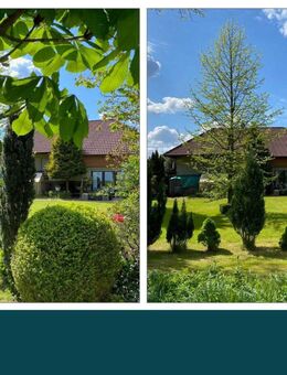 Traumhaftes großzügiges Einfamilienhaus in bester Lage mit Weitblick in die friesische Natur - Schortens