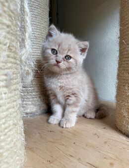 Bkh Kater - Eisenach