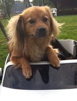 ROBY - Liebe erfahren, Liebe geben - Overath