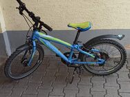 Fahrrad Kinder Morrison Mescalero 20 Zoll - Iffezheim