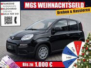 Fiat Panda, # # # # #, Jahr 2024 - Weiden (Oberpfalz)