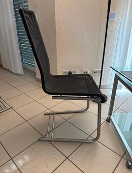 Stühle (Freischwinger) Metall/Geflecht - Gundelfingen (Donau) Zentrum