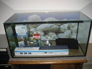 Aquarium 110 L mit Zubehör - € 85 - nur Abholung - Ulmen