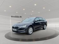 Skoda Octavia, 2.0 TDI Combi Selection FLA, Jahr 2024 - Bad Arolsen