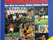 Fußball-Sammlung Raritäten (Bücher, Memorabilia etc.) - Mainz