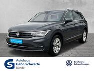 VW Tiguan, 1.5 TSI Move, Jahr 2023 - Bünde