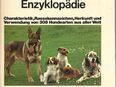 Hunde Enzyklopädie in 13435