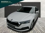 Skoda Octavia, 2.0 TDI Combi First Ed 150PS, Jahr 2020 - Emmendingen