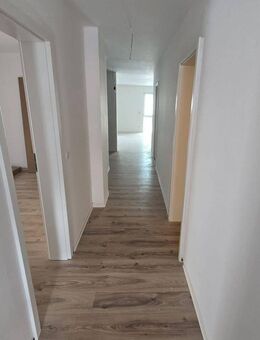 Eine 8 Zimmer Maisonette-Wohnung mit ca. 200 qm Erstbezug in Immenhausen - Immenhausen