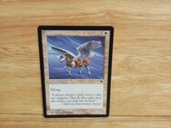 Magic The Gathering-Armored Pegasus - Nörvenich