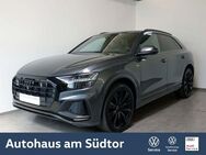 Audi Q8 50 TDI quattro S line | AHK Pano Standhzg. - Rietberg