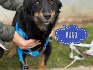 Hugo ein kleiner Prinz - Mannheim