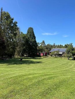 Alleinlage - Ostelsheim