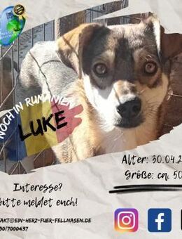 LUKE - kommt Zeit, kommt Liiiieeebe - Waakirchen