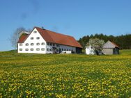 Einfamilienhaus XXL - Bauernhaus in traumhafter Lage - Westerheim (Bayern)