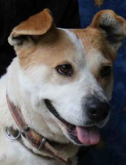 Unternehmungslustige Dona liebt Menschen - Kissing