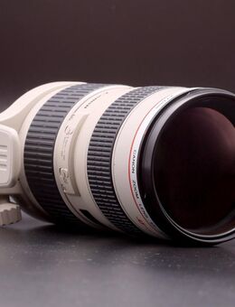 Canon Tele-Zoom-Objektiv EF 70-200mm F/2.8 L USM 77mm ☆ DEFEKT ☆ - Leipzig Südost