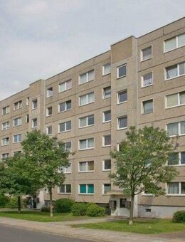 Schicke Einbauküche in dieser 1 Zimmer Wohnung. - Dresden