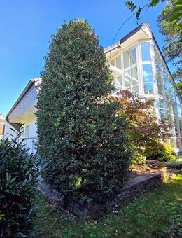 Imposantes Architektenhaus mit Pool und Sauna in Cottbus - Cottbus