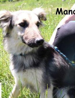 Mandy Offen und feinfühlig! - Kissing