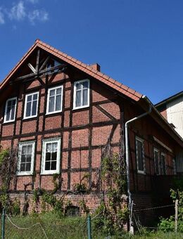 Pferdehof Trebel - Trebel