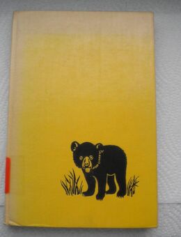 Mister B.,Irving Petite,Kosmos Verlag,1966 - Linnich