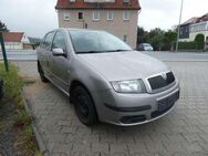 Skoda Fabia Cool Edition Klima CD Radio HU AU Neu - Bautzen