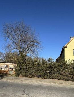 Neuer Preis!!! Ruhige Lage, großes Grundstück, viel Platz - sanieren Sie nach Lust und Laune - Heideland (Thüringen)