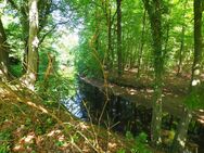 *PROVISIONSFREI für den Käufer* Hamburg pur - Wasser und Natur - Hamburg