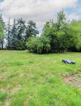 Altbaucharme mit Entwicklungspotenzial: 6-Parteien-MFH in Rahden - Rahden