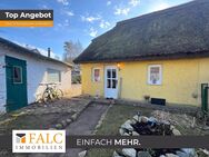 Gemütliche Doppelhaushälfte mit schönem Garten - Ideal für Naturliebhaber und Ruhesuchende - Patzig