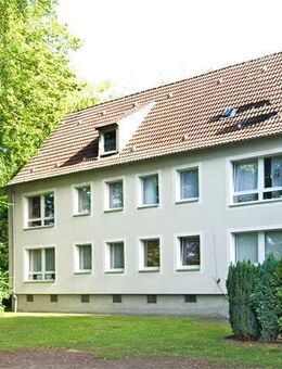 3-Zimmer-Wohnung in Bottrop Boy - Bottrop