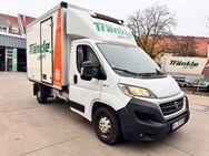 Fiat Ducato Kühlkoffer, Frischdienst, Seitentüre - Weingarten