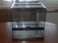 Exo Terra Terrarium 45x45x45 - Dassel