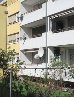 gemütliche und komfortable 2 Zi. Wohnung zu vermieten! - Singen (Hohentwiel)